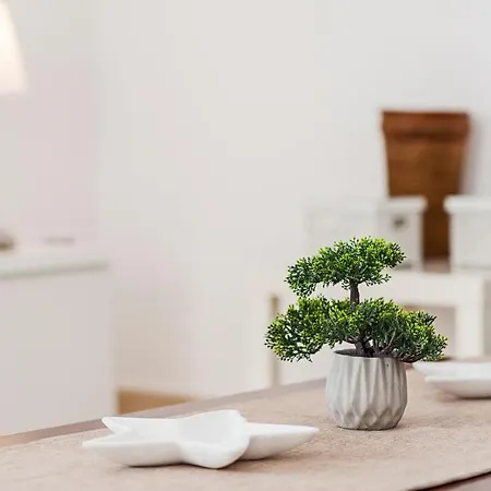 Canada Honda Conil コニル・デ・ラ・フロンテラ