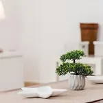 Canada Honda Conil Кониль-де-ла-Фронтера